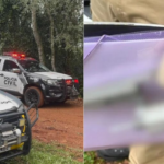 Adolescente de 13 anos mata avó com cinco tiros e deixa avô ferido, após ser proibido de mexer no celular