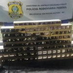 Policiais Rodoviários encontram pássaros no porta-malas de veículos