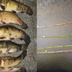 Operação Piracema: homem é preso por pesca ilegal na represa da Usina Mourão, no PR