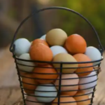 Como fazer ovos na frigideira tampada com bacon, queijo e tomate
